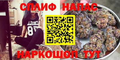 сатива Апшеронск