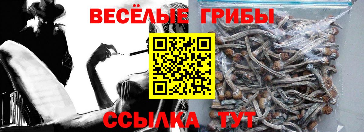 Псилоцибиновые грибы мицелий  Галлюциногенные грибы GOLDEN TEACHER  Вход с VPN  Краснокамск 