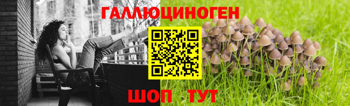 Галлюциногенные грибы Magic Shrooms  Краснокамск  Псилоцибиновые грибы прущие грибы 